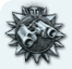 Patrol Duty medal